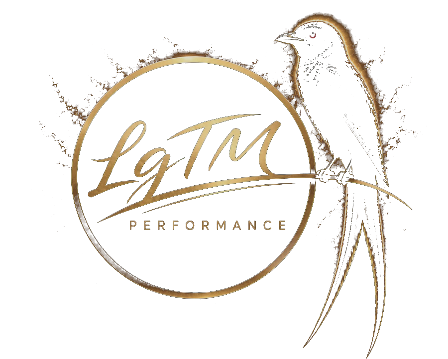 LgTM Performance